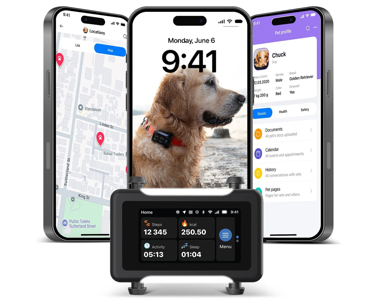 AskAVet case study
